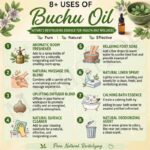 8 uses of bucchu oil