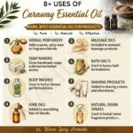 8 uses of caraway oil