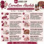 8 uses of carnation absolute