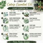 8 uses of catnip oil