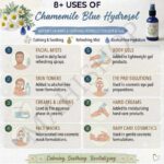 8 uses of chamomile blue hydrosol