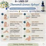 8 uses of chamomile german hydrosol