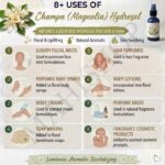 8 uses of champa magnolia hydrosol