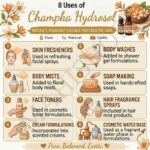 8 uses of champka hydrosol