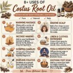 8 uses of costus root oil