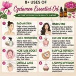8 uses of cyclamen essential oil