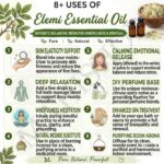 8 uses of elemi essential oil