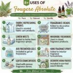 8 uses of fougere absolute
