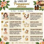 8 uses of frangipani absolute
