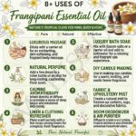 8 uses of frangipani essential oil
