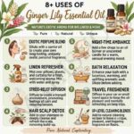 8 uses of ginger lily essential oil