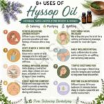 8 uses of hyssop oil
