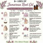 8 uses of jamarosa root oil