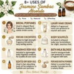 8 uses of jasmine sambac absolute