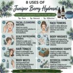8 uses of juniper berry hydrosol