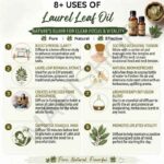 8 uses of laurel leaf oil