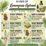 8 uses of lemongrass hydrosol
