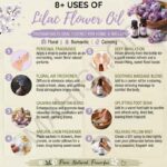 8 uses of lilac flower oil