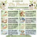8 uses of lily absolute