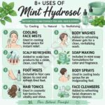 8 uses of mint hydrosol
