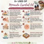 8 uses of monarda essential oil