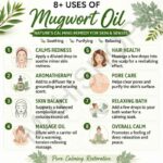 8 uses of mugwort oil