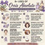 8 uses of orris absolute