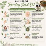 8 uses of parsley seed oil