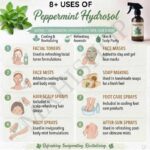 8 uses of peppermint hydrosol