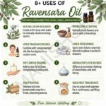 8 uses of ravensara oil