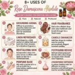 8 uses of rose damascana absolute