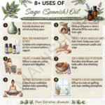 8 uses of sage spanish oil