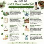 8 uses of scotch pine essential oil