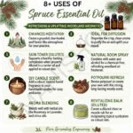 8 uses of spruce essential oil
