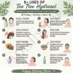 8 uses of tea tree hydrosol