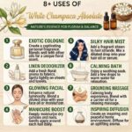 8 uses of white champca absolute