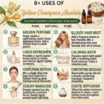 8 uses of yellow champaca absolute