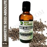 Ambrette Seed Absolute 50ml