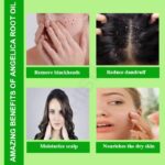 Angelica Root Oil