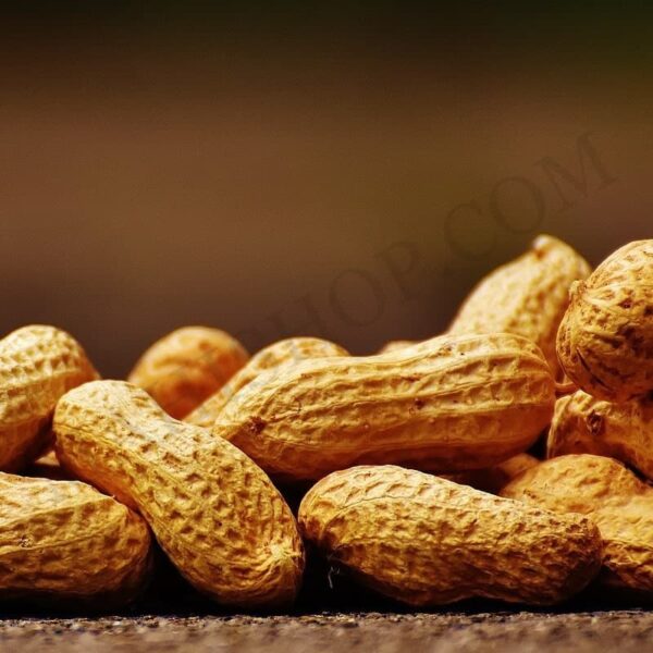 Arachis Oil