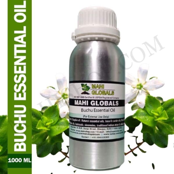 Buchu Essential Oil 1000ml