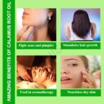 Calamus Root Oil