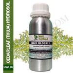 Cedarleaf (thuja) Hydrosol 1000ml