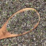 Hemp Seed Oil