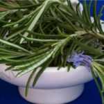 Rosemary Hydrosol