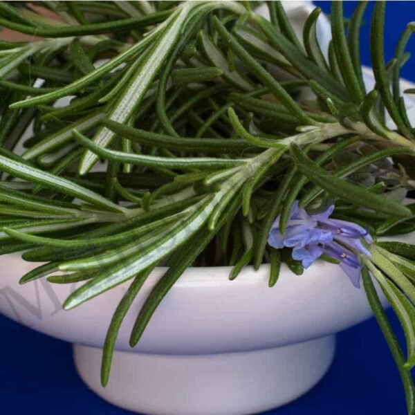 Rosemary Hydrosol