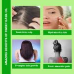 Sweet Basil Oil