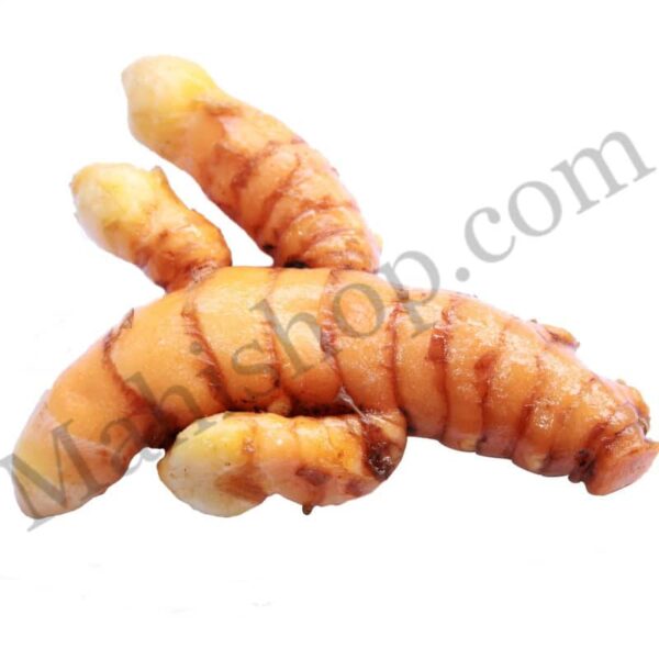 Zedoaria Essential Oil