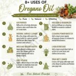 8 uses of oregano oil