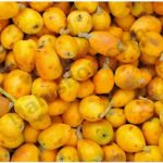 Marula Oil